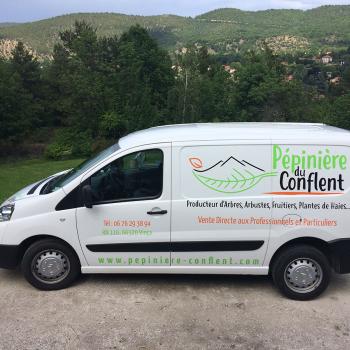 Pépinière du Conflent - Vinça
